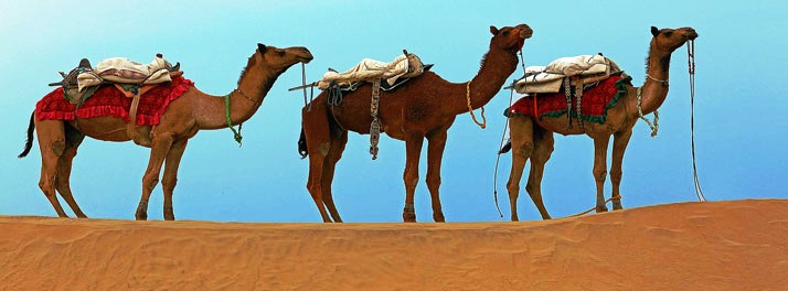 586/Hotel Rawalkot - Jaisalmer 12.jpg